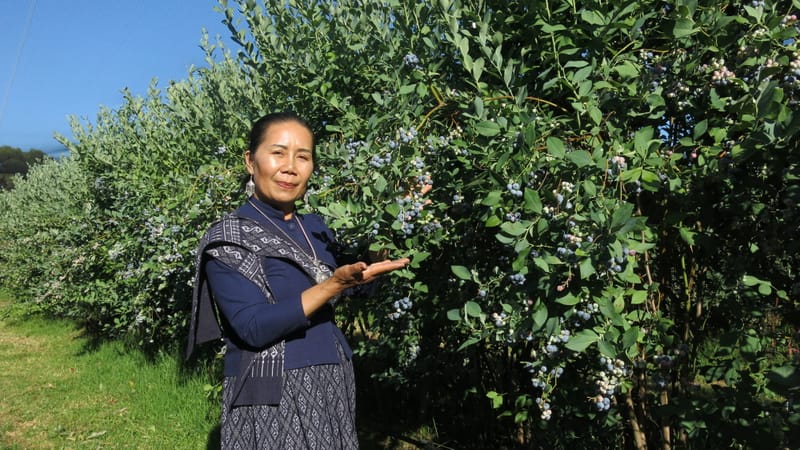 Afternoon tea with Wannaporn post image