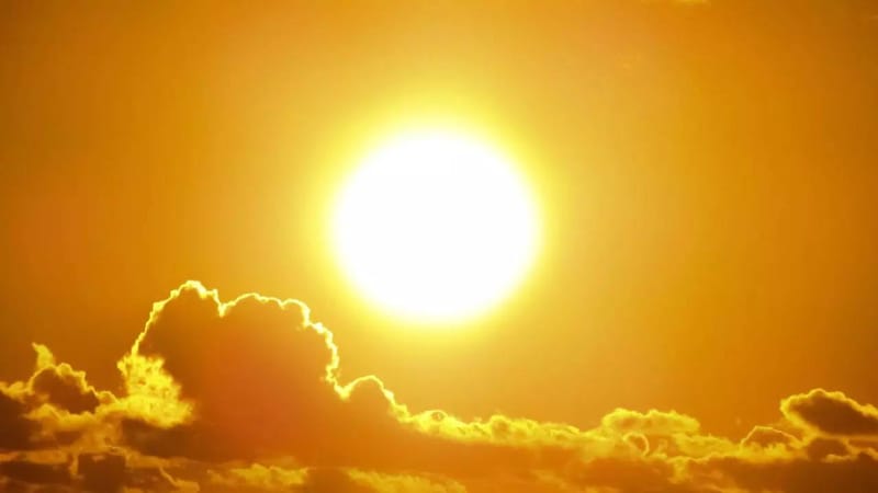 Collie swelters through hot end to summer post image