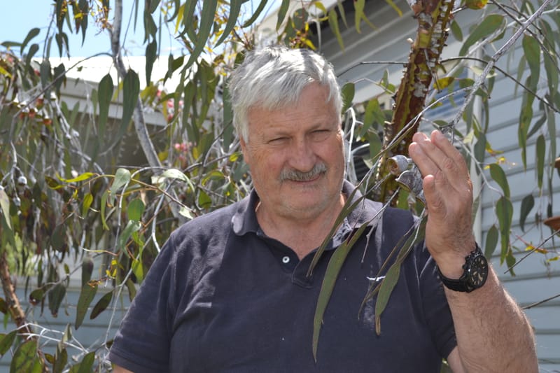 Tom’s a man of the trees post image