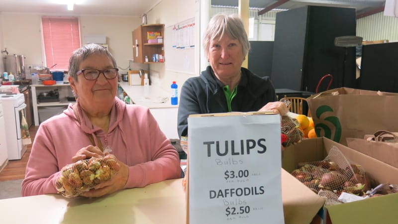 Bulbs on sale for show post image