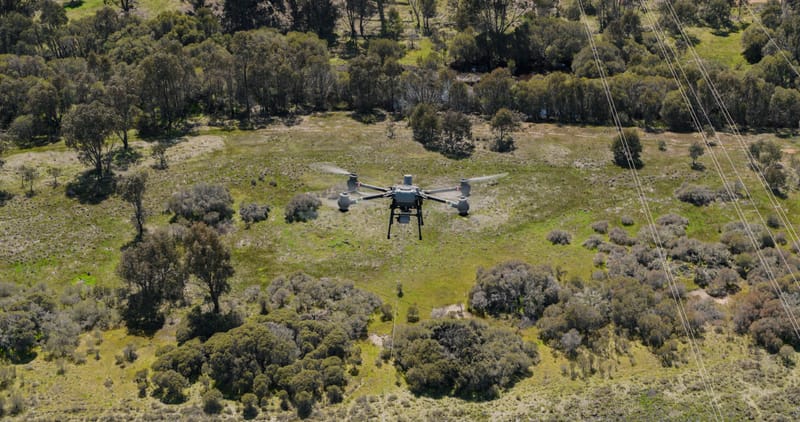 Drones deployed post image