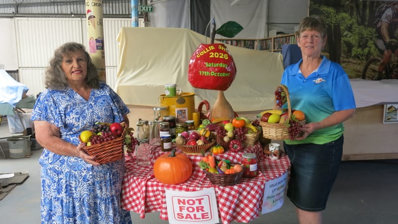 Home grown theme for show post image